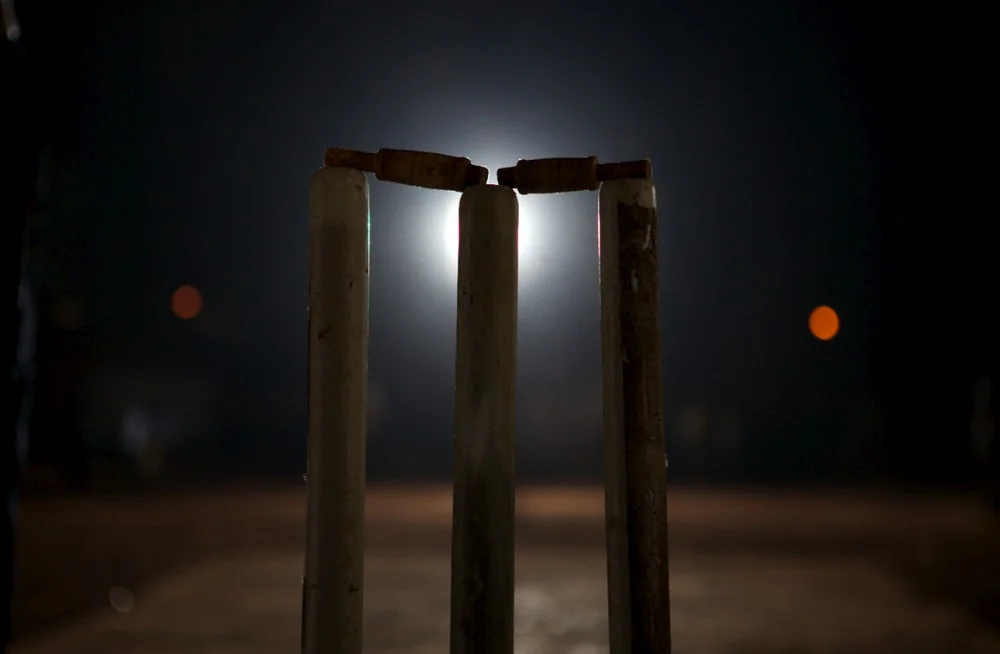 cricket moonlight.jpg
