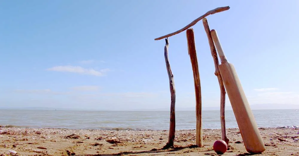 drift wood.jpg
