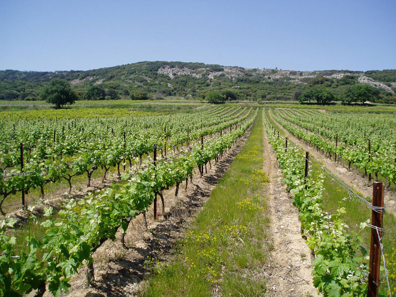 4.24.17 Rhone Winemaker's Dinner