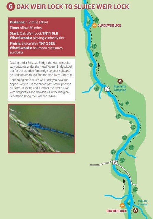 River Medway Trail Booklet 11.jpeg