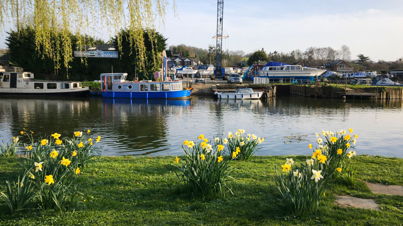 Sunnyside marina with blooming daffodils.png