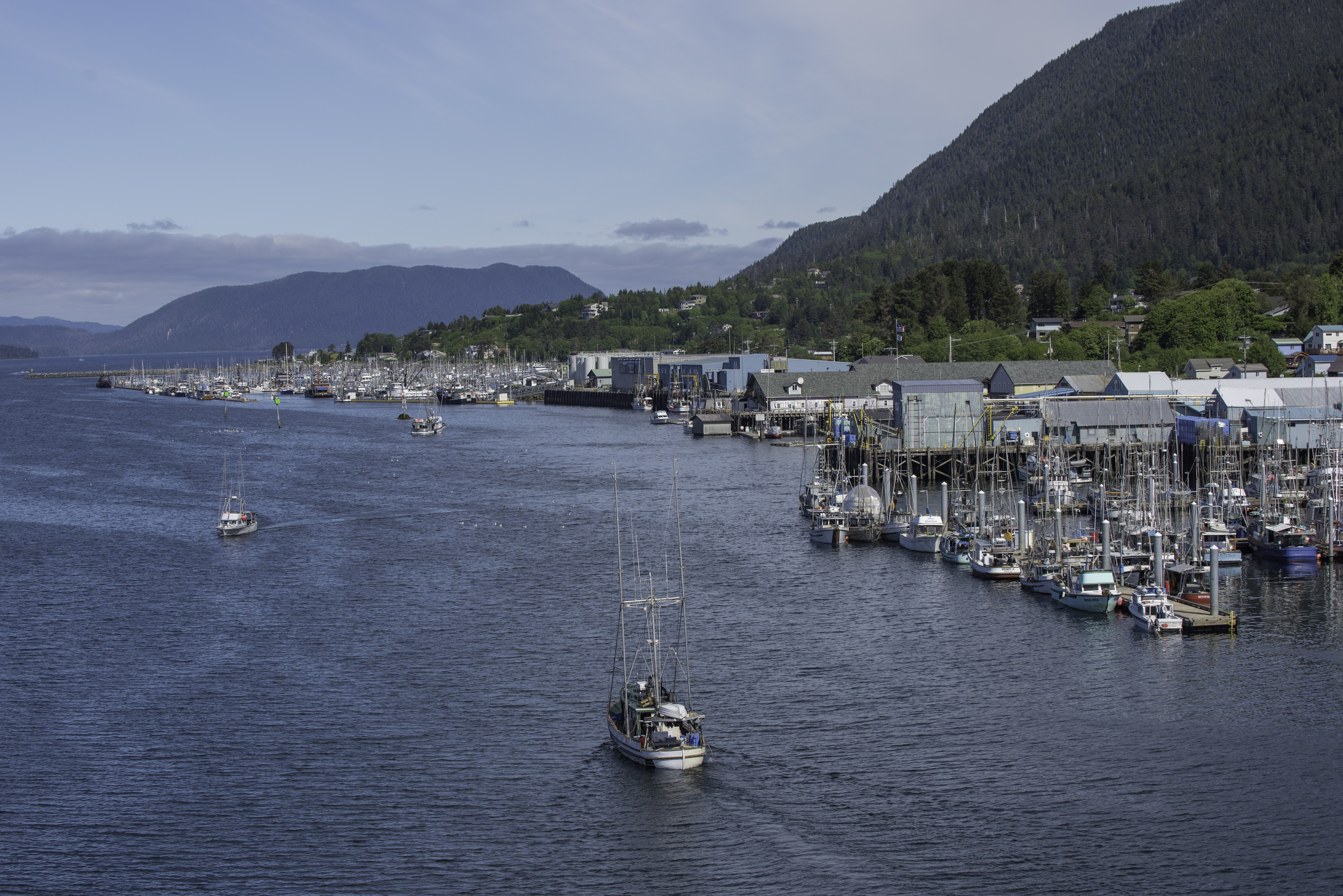 20150525_sitka_029.jpg