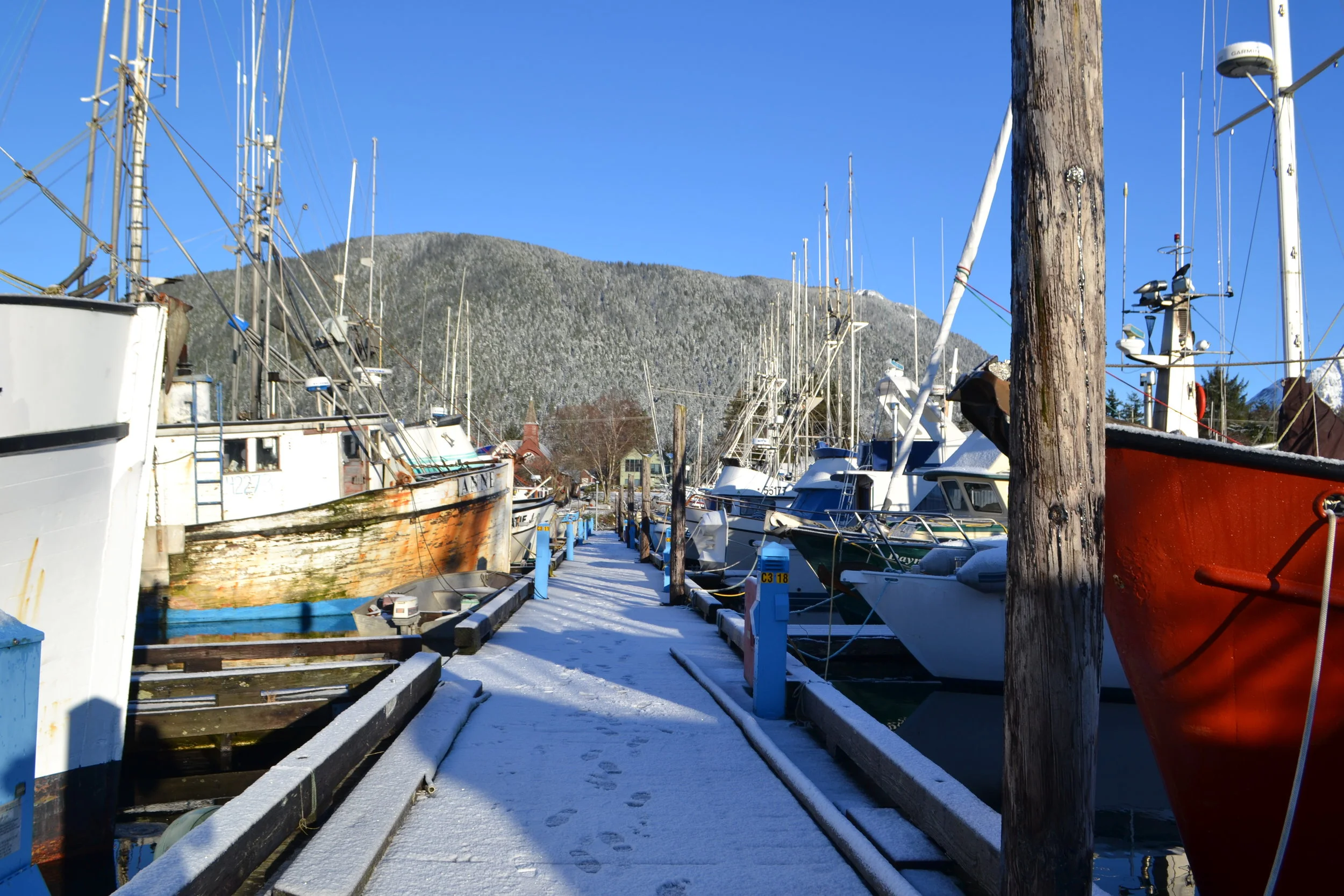 Comment on Municipal Halibut QS