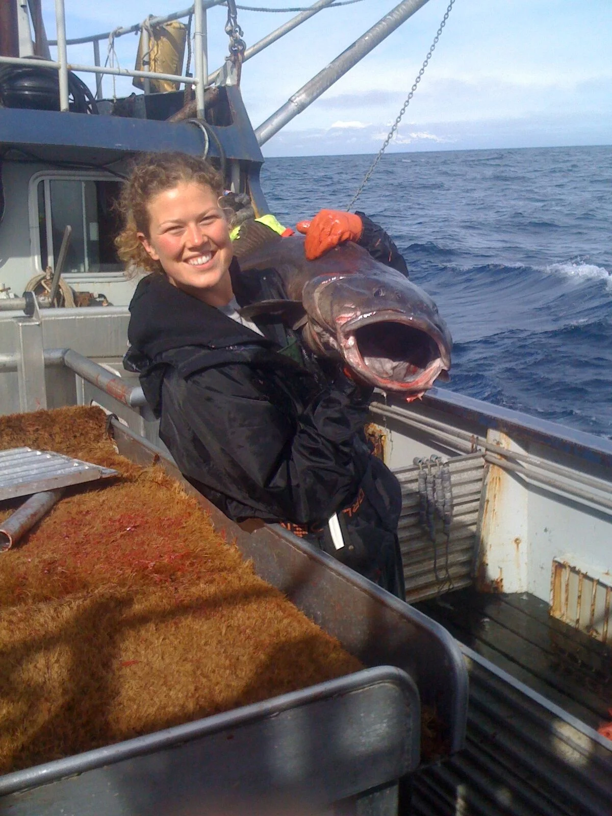 Chatham Annual Sablefish Harvest Objective Announced