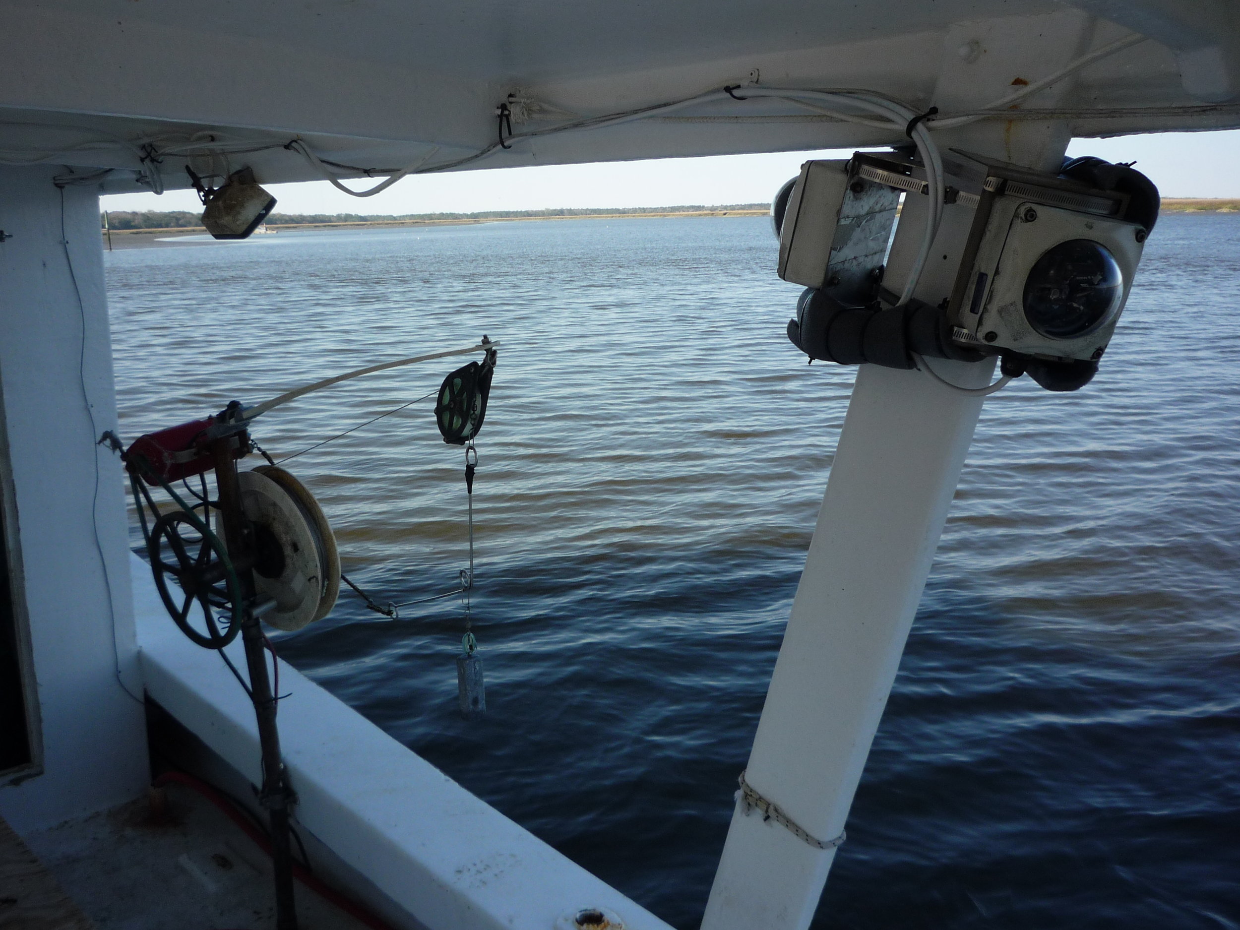 Photo from the National Marine Fisheries Service
