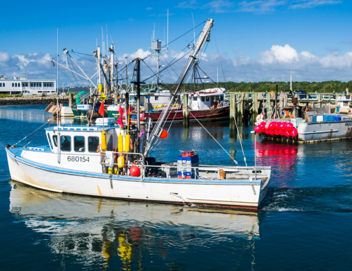 ALFA Receives Grant to Improve Longline EM Program