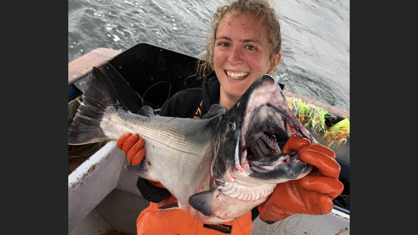 APPLY NOW! Crew Training Program Application Period for 2020 Season is Open. 