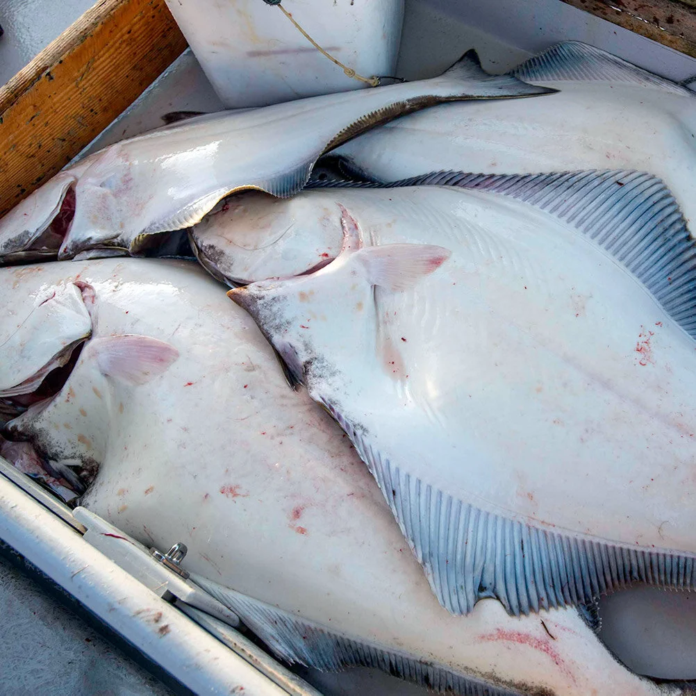 Halibut Catch Sharing Plan ACTION ALERT