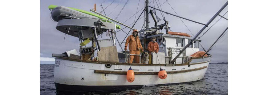  Why Small-Scale Fisheries Matter