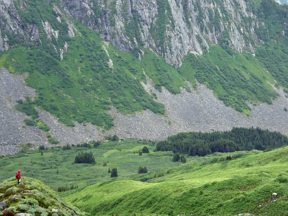 Biden officials move to reinstate Alaska roadless rule, overturning Trump policy