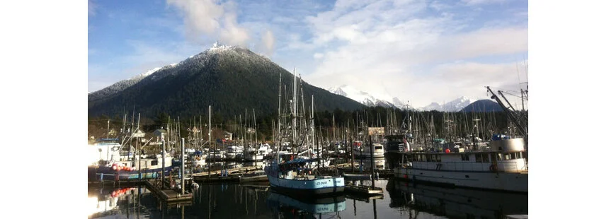 Alaska Longline Fishermen’s Association receives  Seafood Industry Climate Award