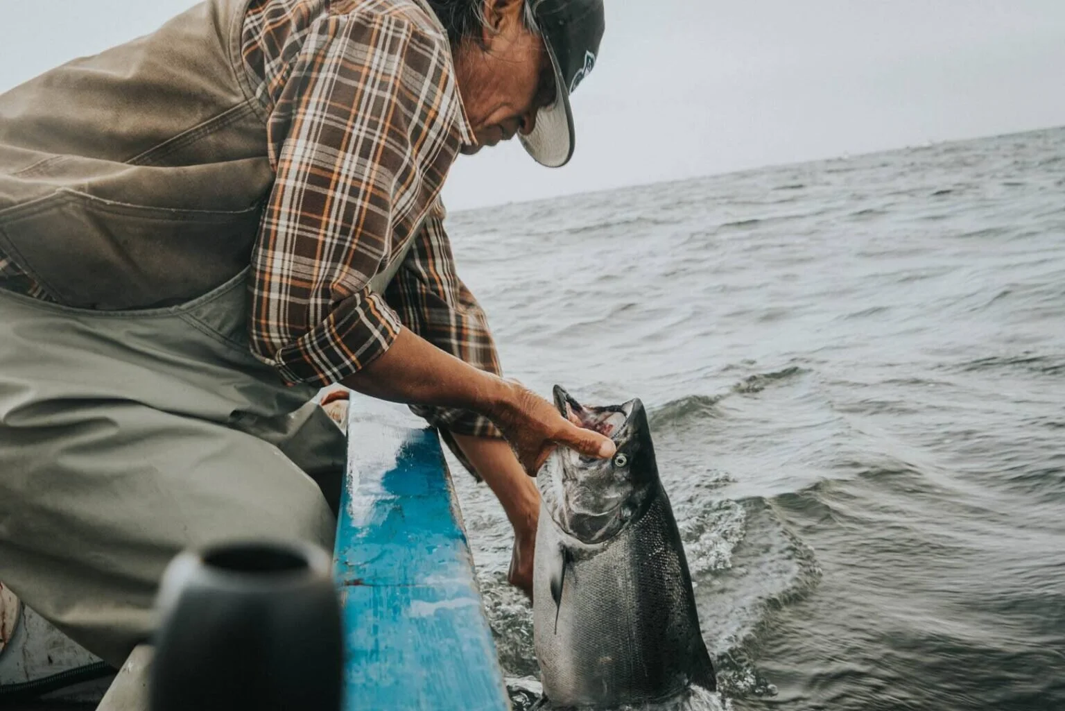 Salmon Nation harnesses power of storytelling in wild salmon preservation.