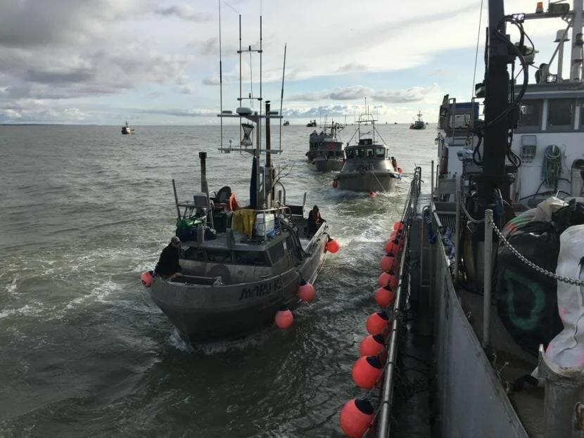 Stories from Gulf of Alaska fishermen are headed to the Library of Congress