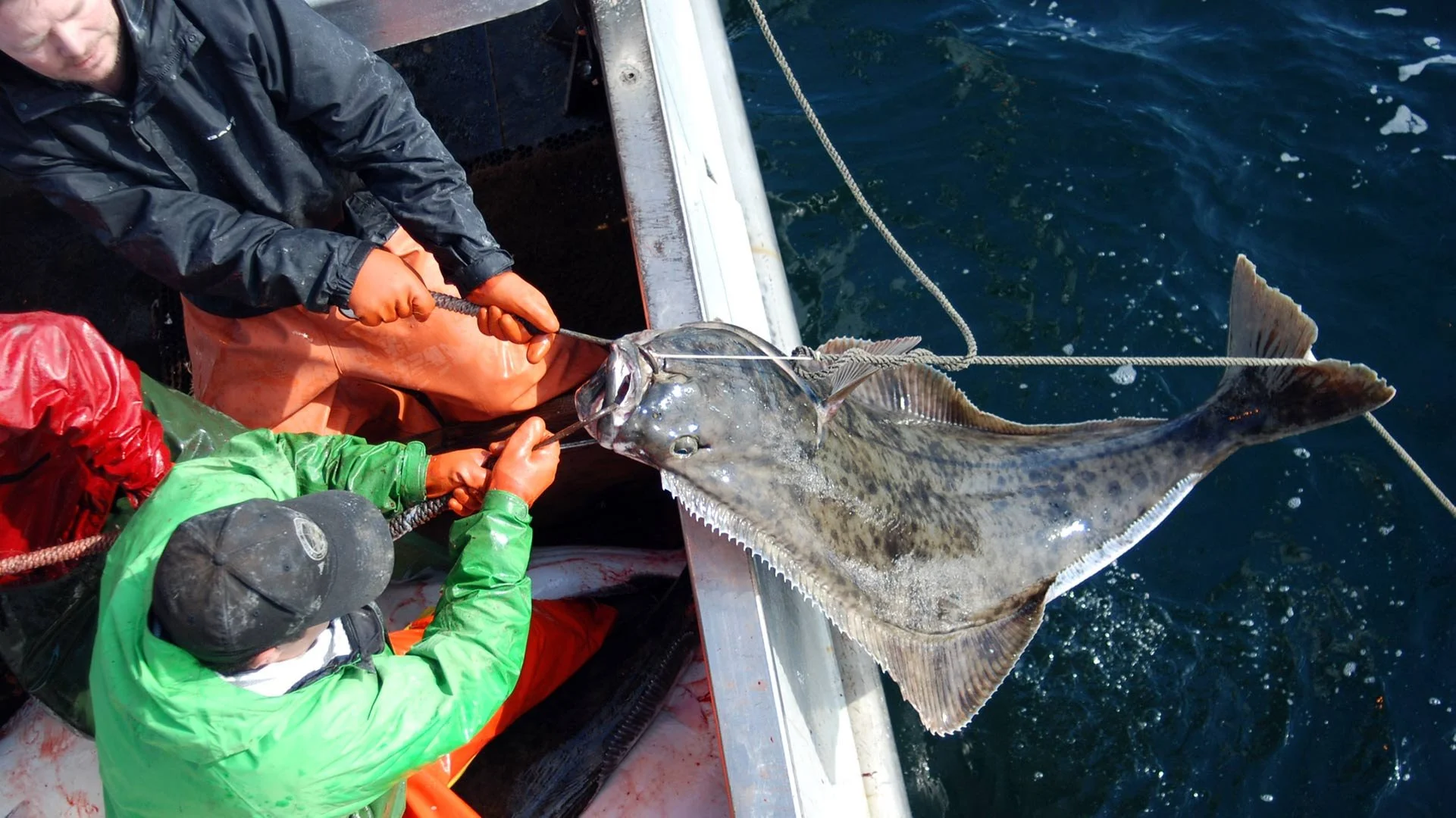COMMENTARY North Pacific Council steps back from commitment on halibut catch sharing 