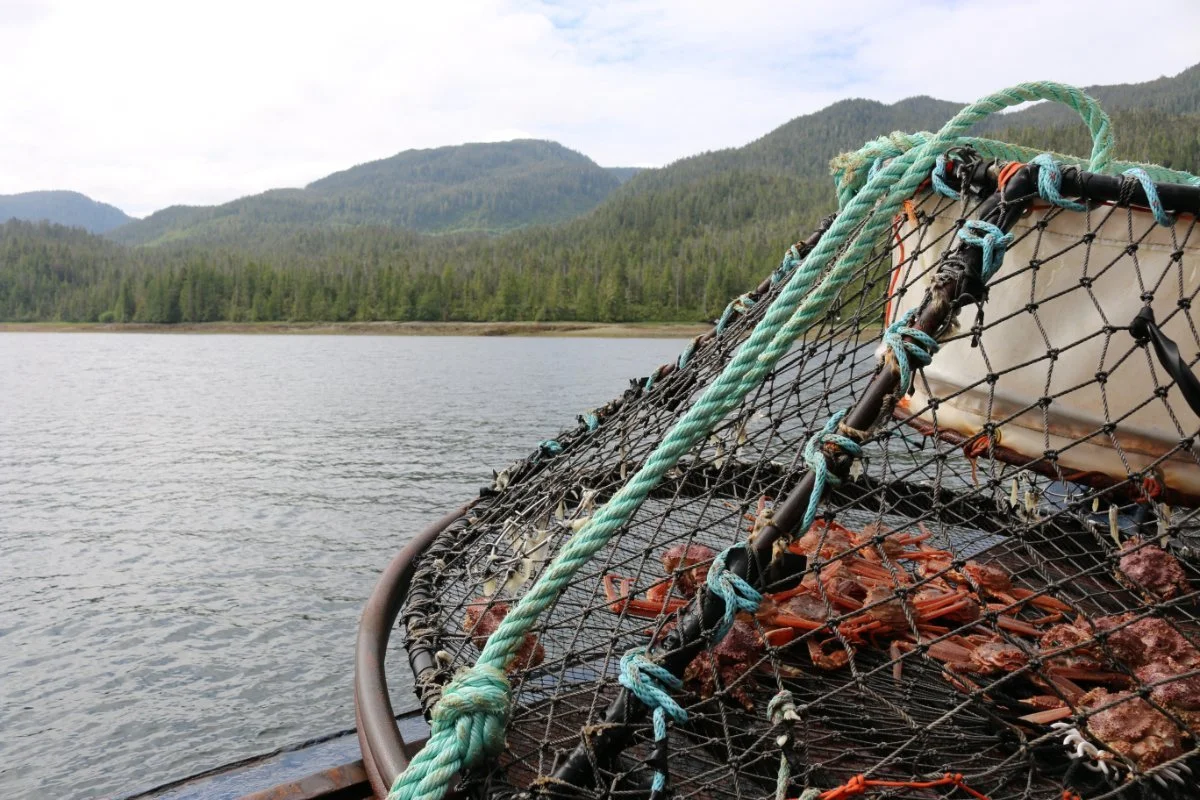 Alaska’s Climate-Driven Fisheries Collapse Is Devastating Indigenous Communities