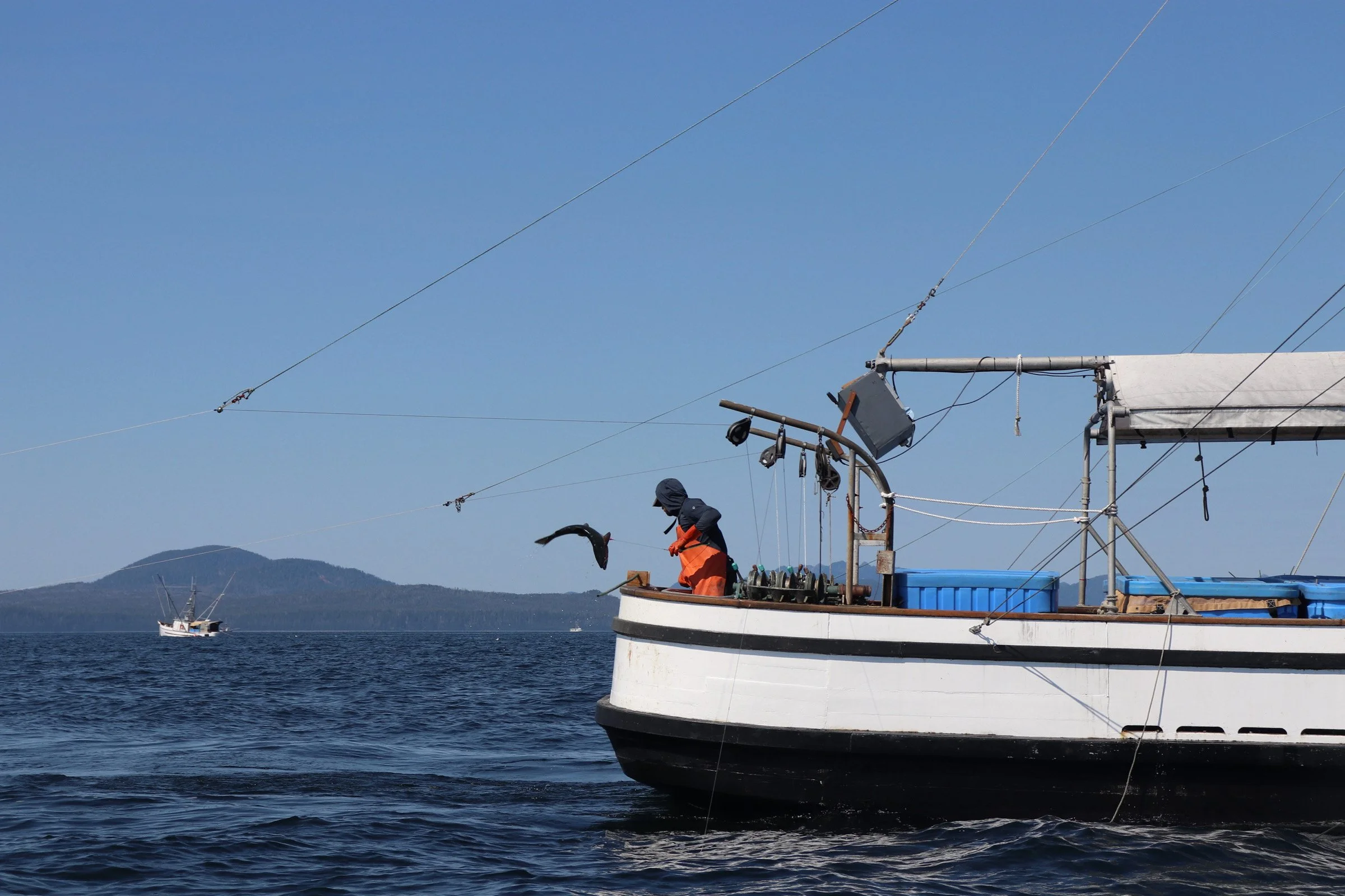 Federal appeals court ruling eliminates — for now — legal threat facing Southeast Alaska fishers
