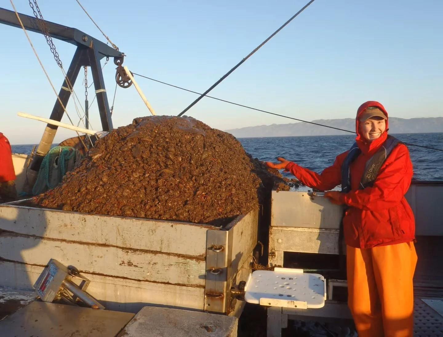 Science supporting Alaska seafood industry threatened by federal firings, biologists and fishermen say