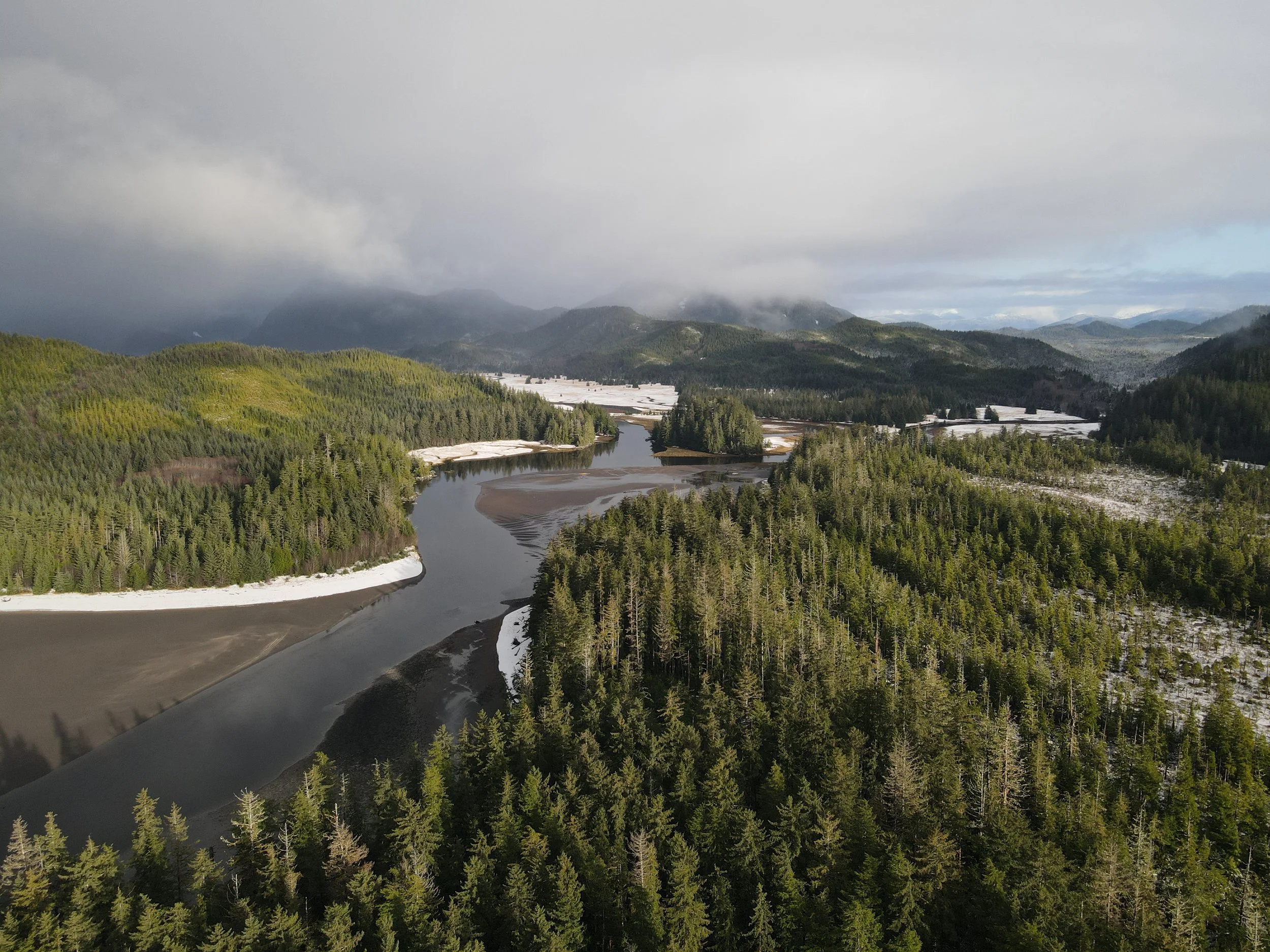 Tribes, Fishing and Forest Advocates Intervene to Defend the Tongass Against Increased Old-Growth Logging