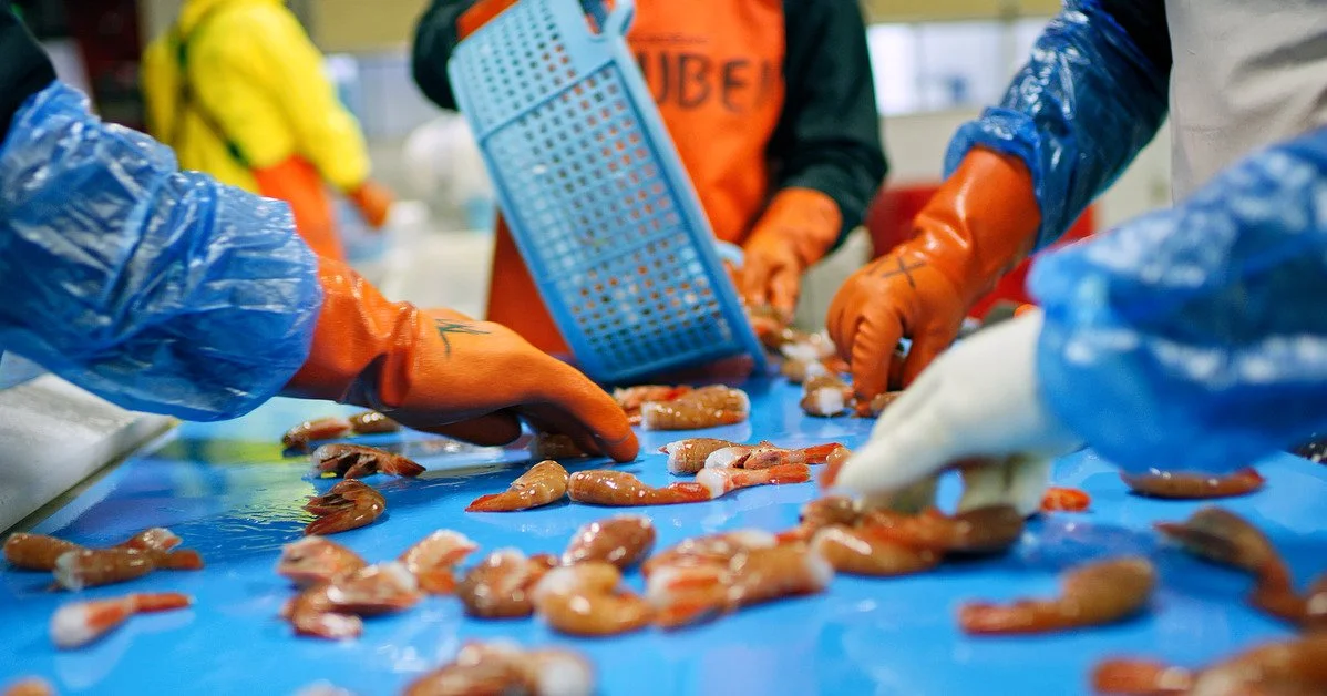 New research shows seafood gets just half a percent of USDA food funding, identifies significant opportunities to enhance U.S. seafood competitiveness with increased investment