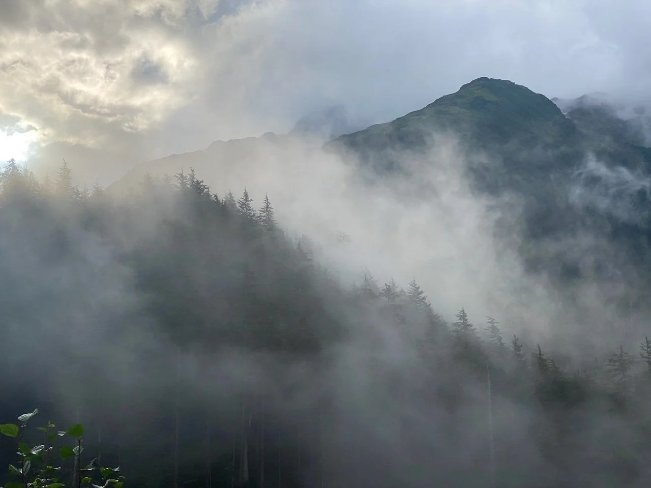 Join the Cause - Protect the Tongass