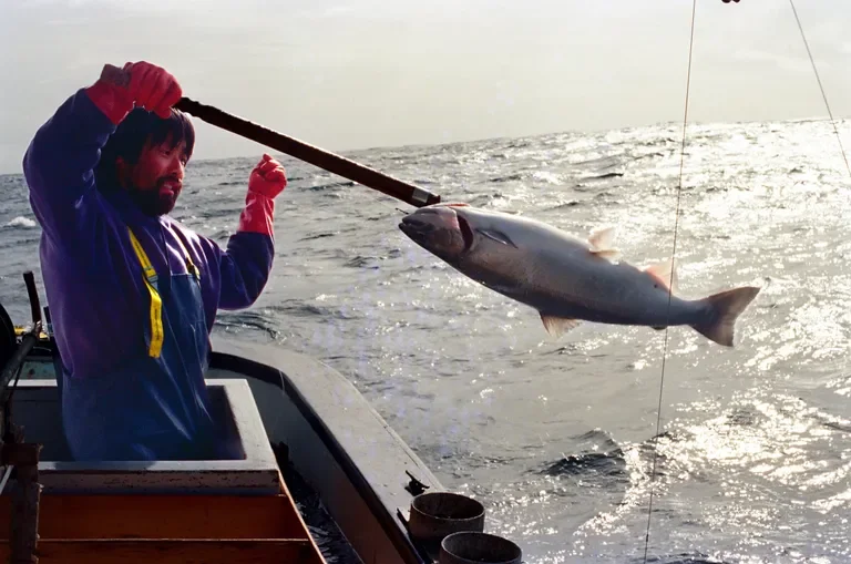   Honoring Joel Kawahara   It is with heavy hearts that we share that Joel Kawahara, a long-time salmon troller who fished in Southeast Alaska as well as throughout the West Coast, died earlier this week while doing what he loved most: fishing. Since