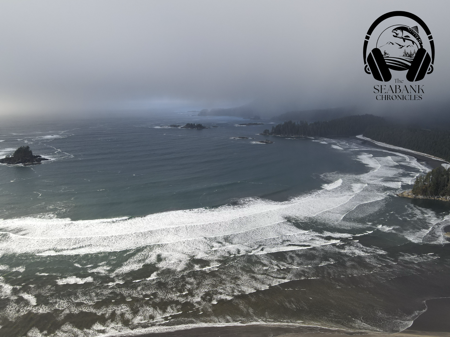  The&nbsp;Alaska Sustainable Fisheries Trust&nbsp;(ASFT), ALFA's sister organization, is excited to share our Second Season of&nbsp; The SeaBank Chronicles  a  7-minute podcast celebrating the people, places, and partnerships that sustain Alaska’s co