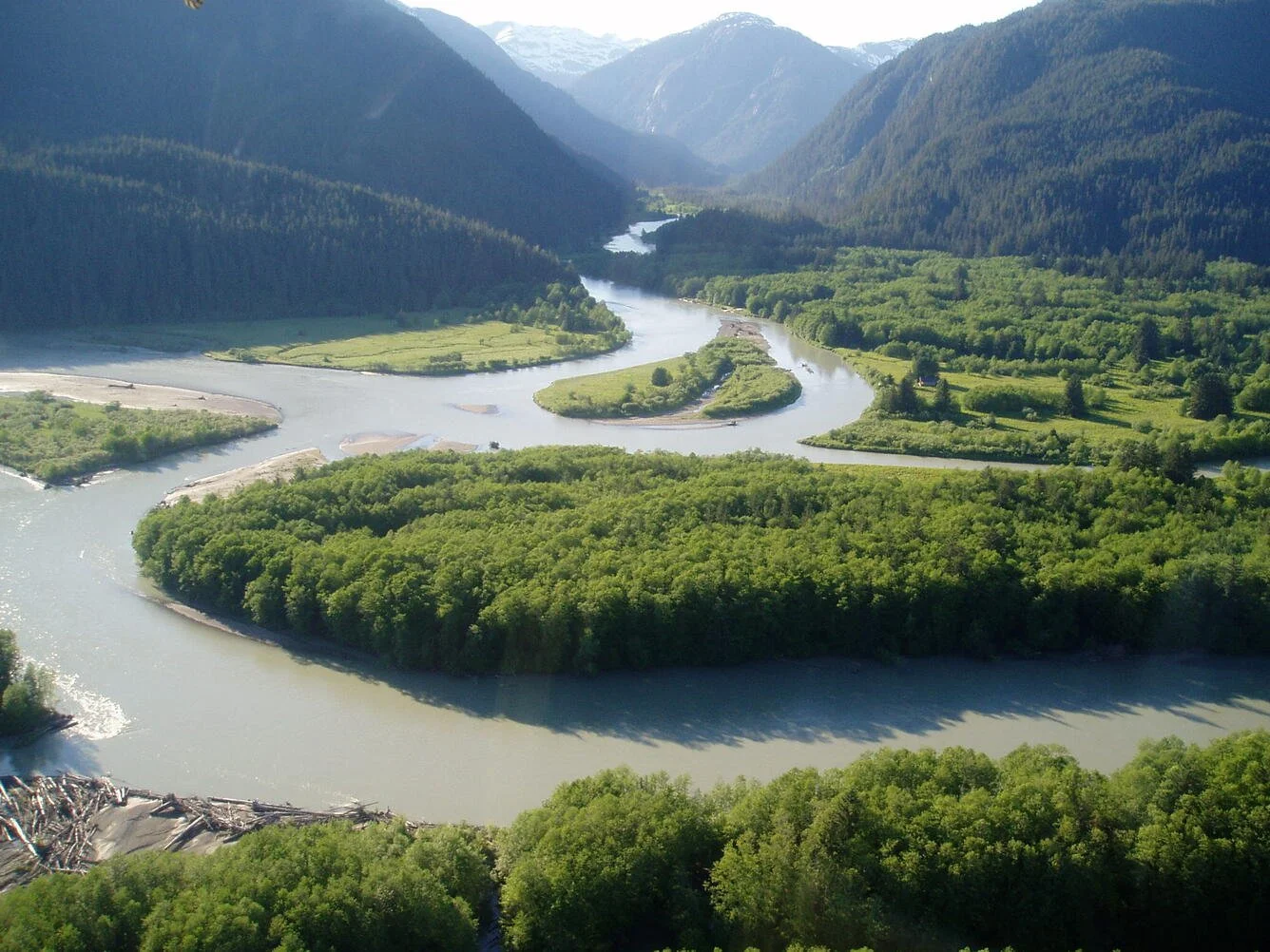 In Alaska ecosystems, powerful forces hide in plain sight