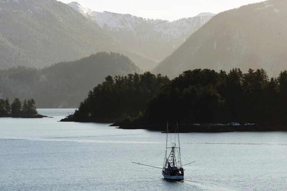 Comment: Let's work together to help wild salmon thrive