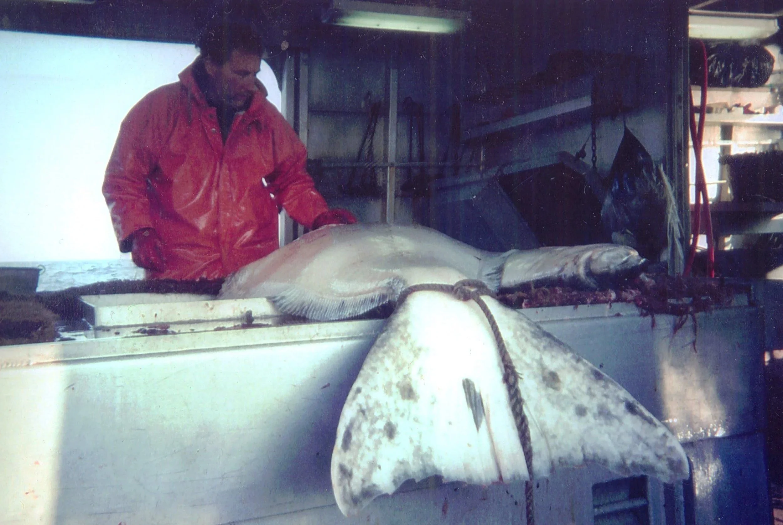 US Commissioner Meeting Opportunity