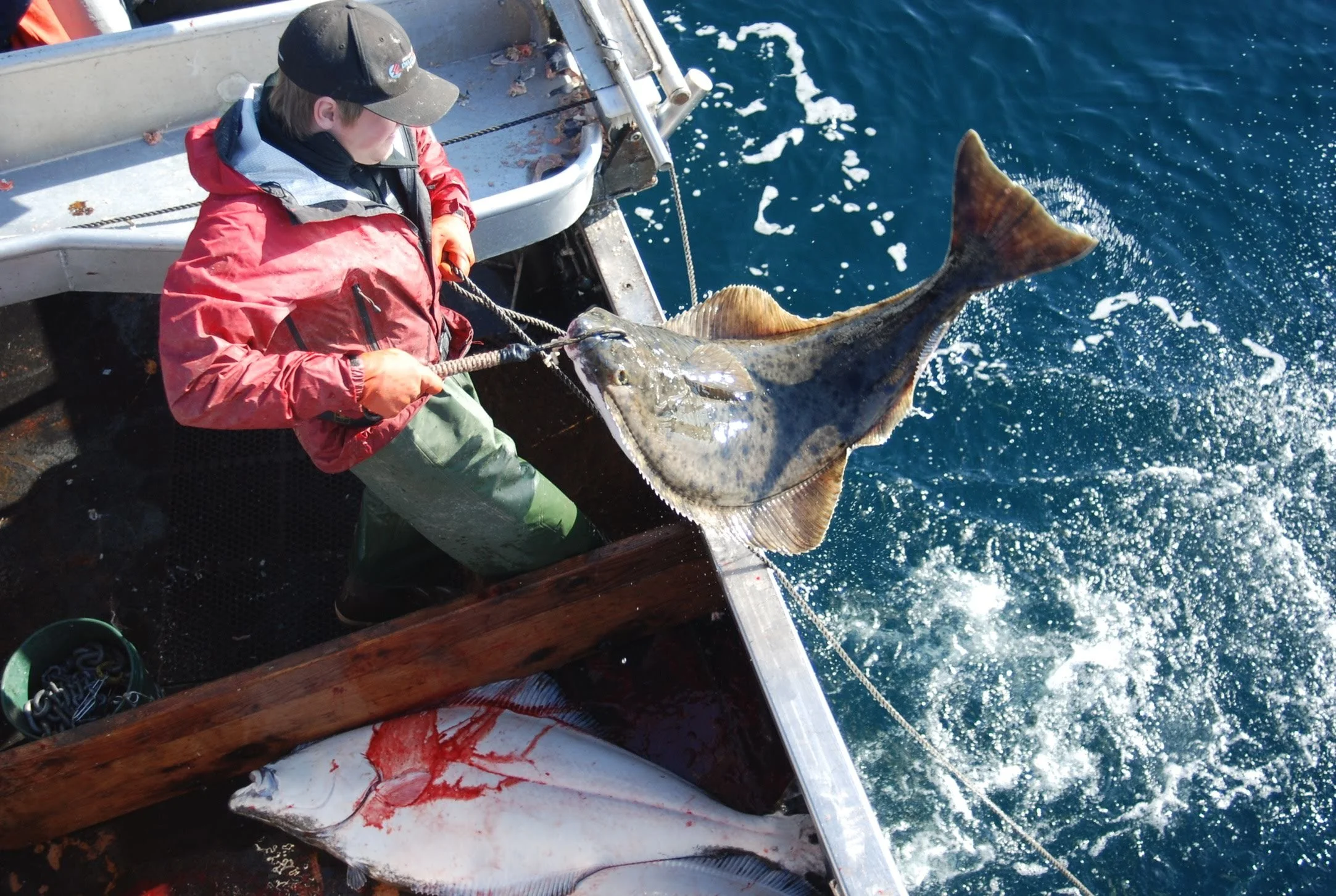   ALFA Fishermen’s Expo    Tuesday, February 24th, 8:45 am to 5 pm   NSRAA Conference Room, 1308 Sawmill Creek Road   To join virtually, register HERE  