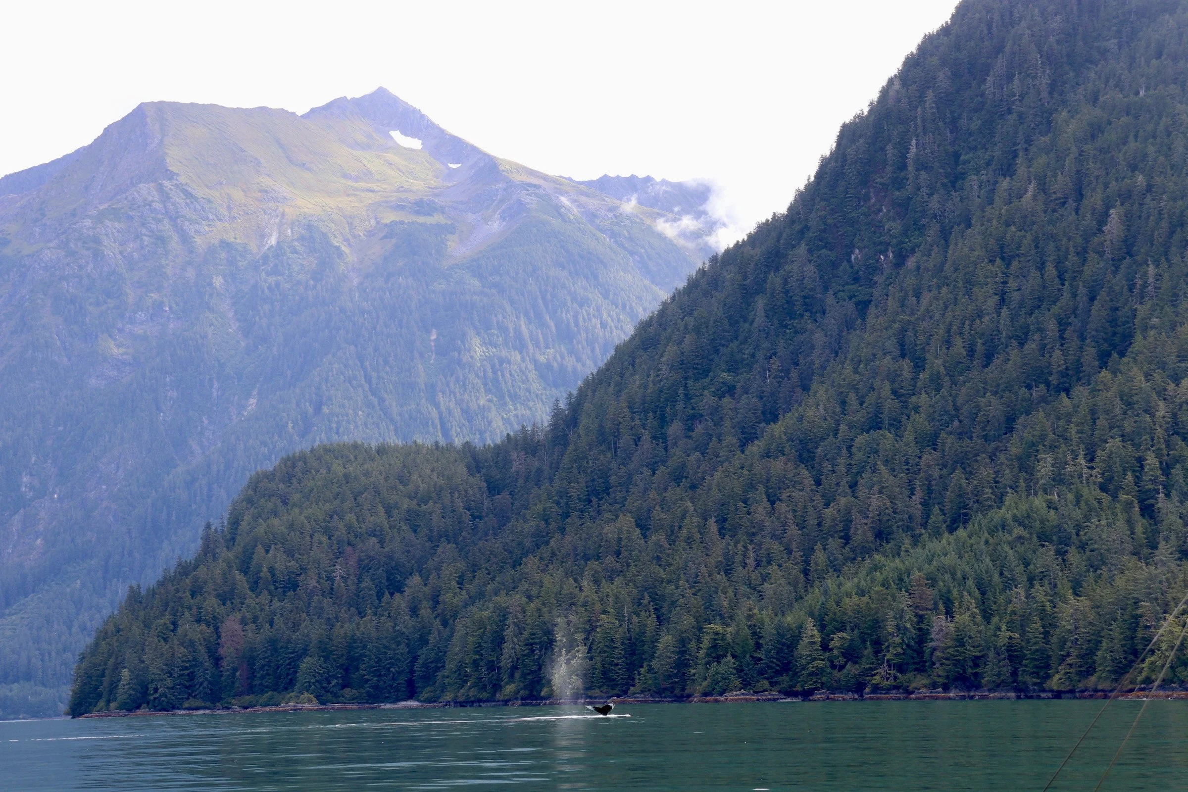 ALFA MEMBERS!! Worried about bottom trawling?  Now is the time to weigh in! Comments due March 2nd!