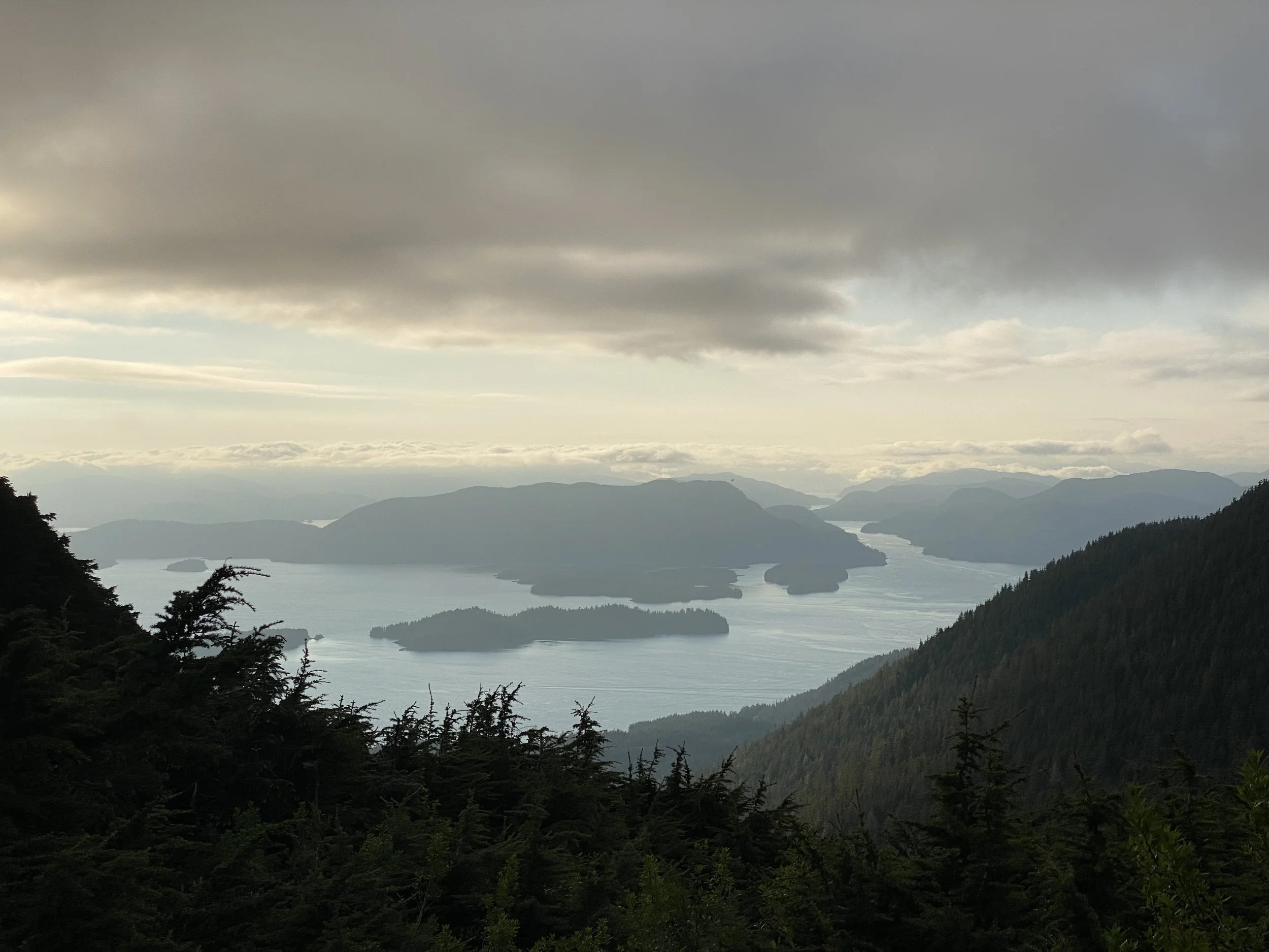  Tongass Forest Plan Revision    public comments due March 20th    Click here to learn more and to comment.  