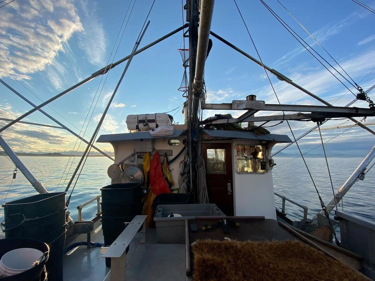  The Alaska Sustainable Fisheries Trust is Hiring a  Summer Fisheries Workforce Development Intern    Applications due March 31st     Click Here to Learn More   