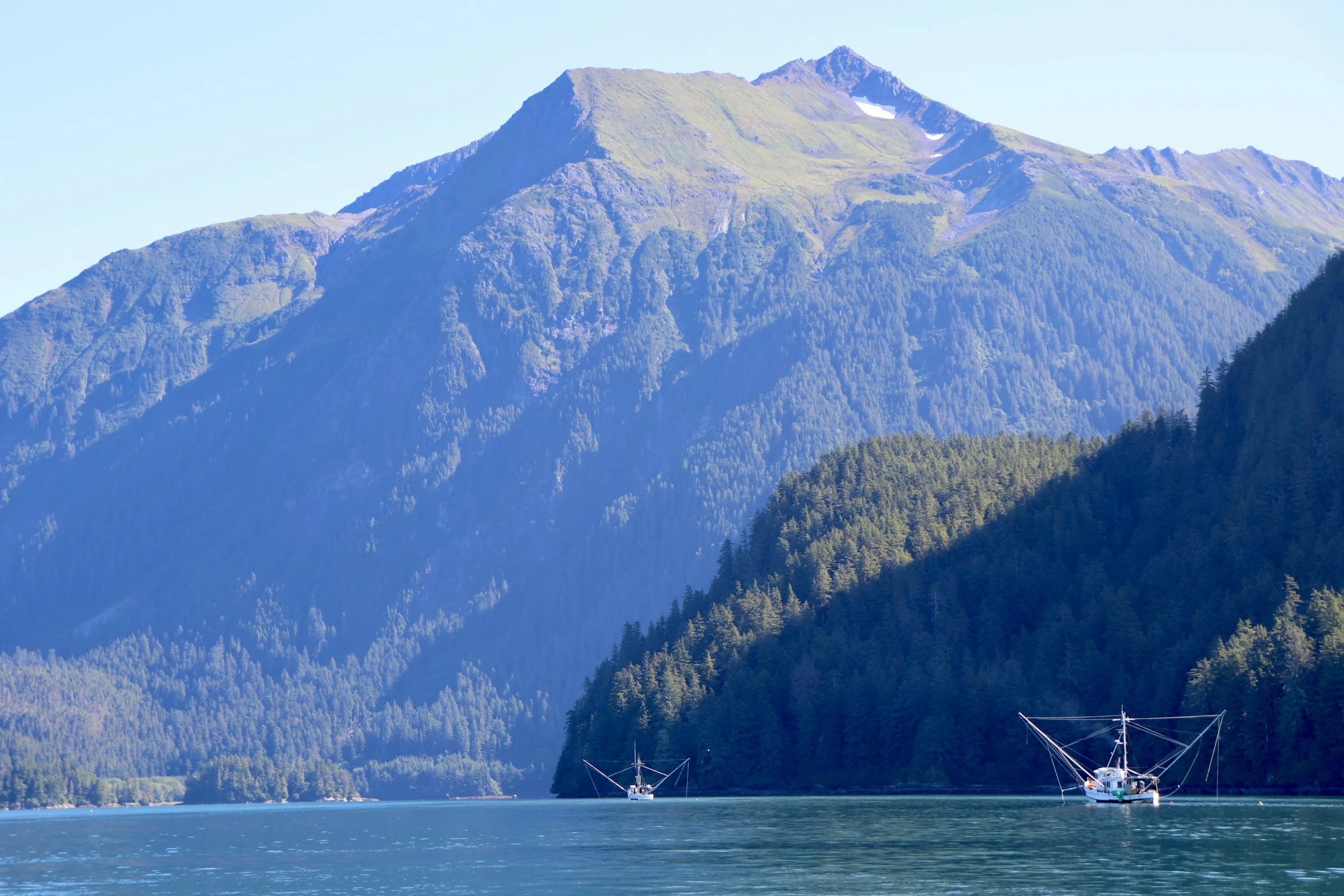   ALFA thanks Senators Murkowski and Sullivan for their decades of advocacy for seafood at USDA that led to this historic win.    The USDA has officially launched a new Office of Seafood — the first of its kind — recognizing fishermen as essential co
