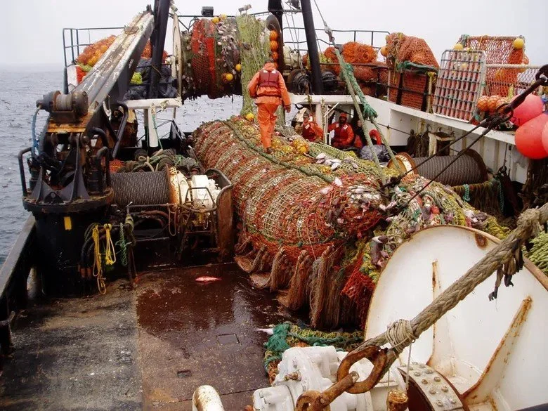 Rep. Kevin McCabe: Are We Fishing, or Are We Mining