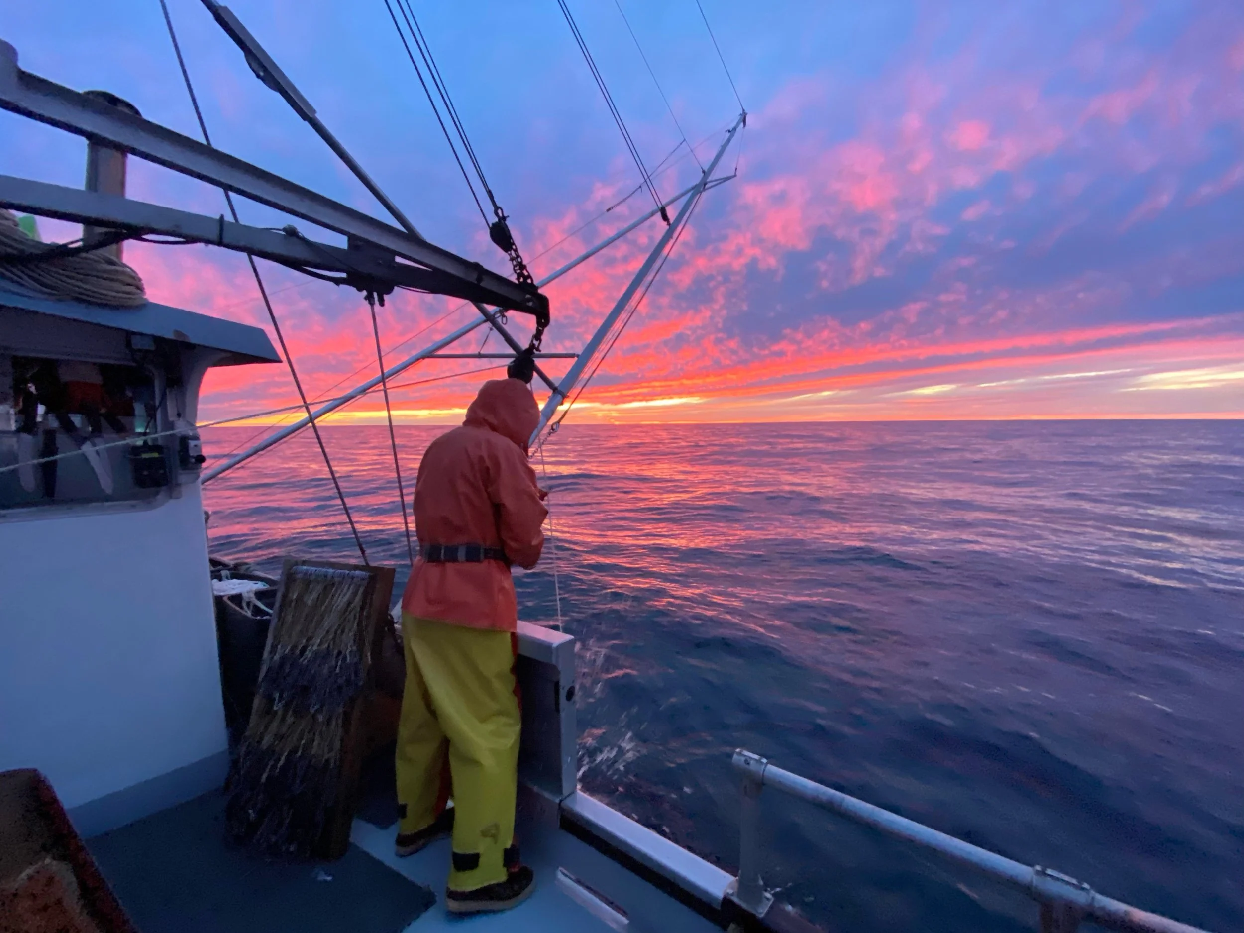   Fish First. Party Second.  Alaska’s Fisheries Voter Resource   Make a plan to vote in the general election.   Learn more here.  