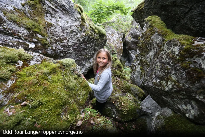 Dette er de beste julegavene