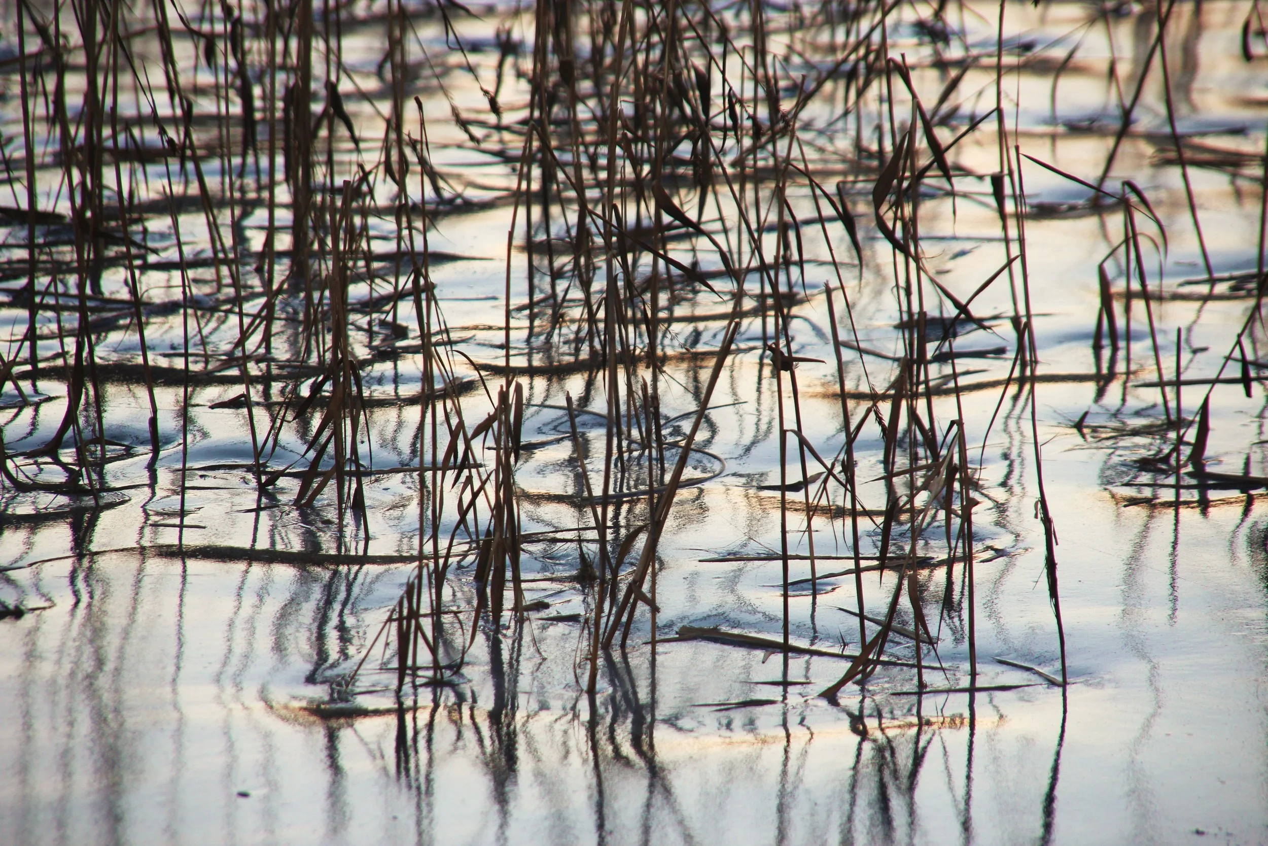 Dette er helgens aktivitet - bli med, da vel