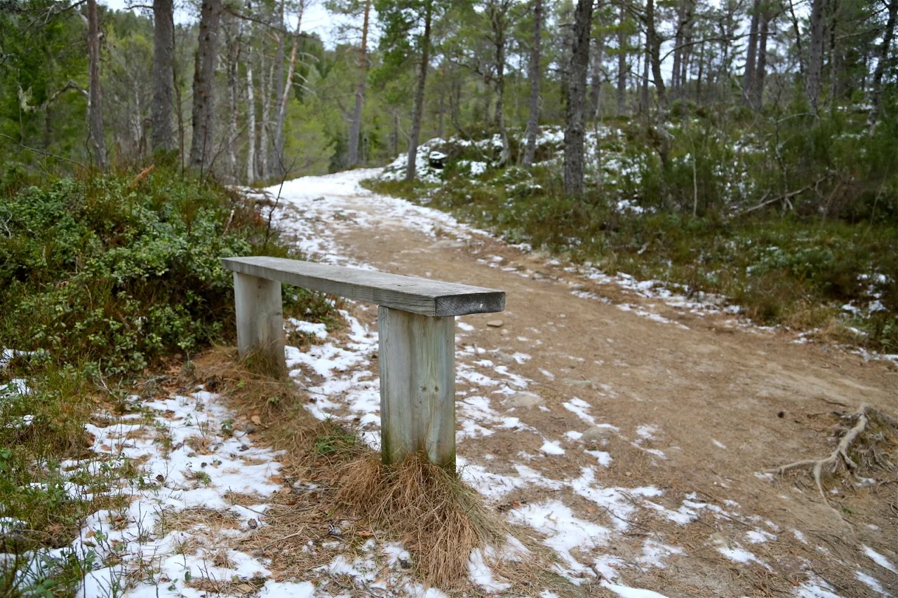 23 grunner til en søndagstur
