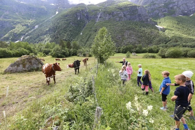 En fjellpris til å sette pris på 