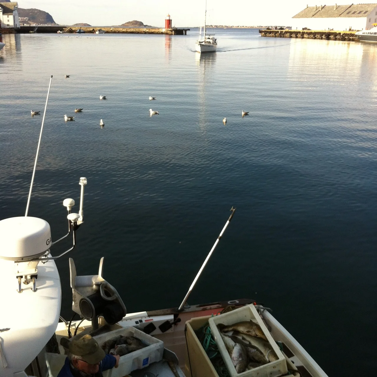 10 gode grunner til å besøke Ålesund