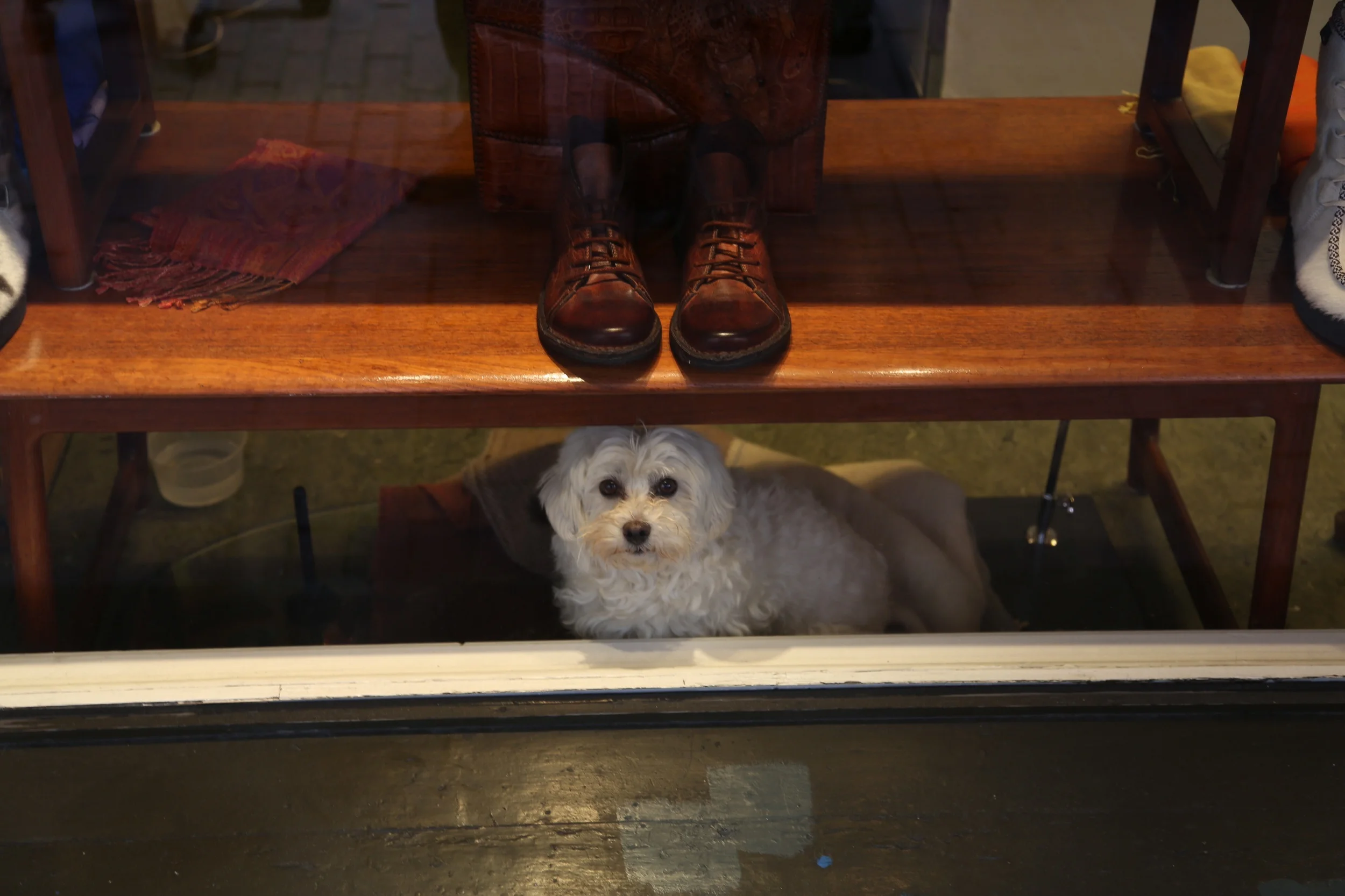 Dette bør du se i Oslo - og ikke gå så fort forbi