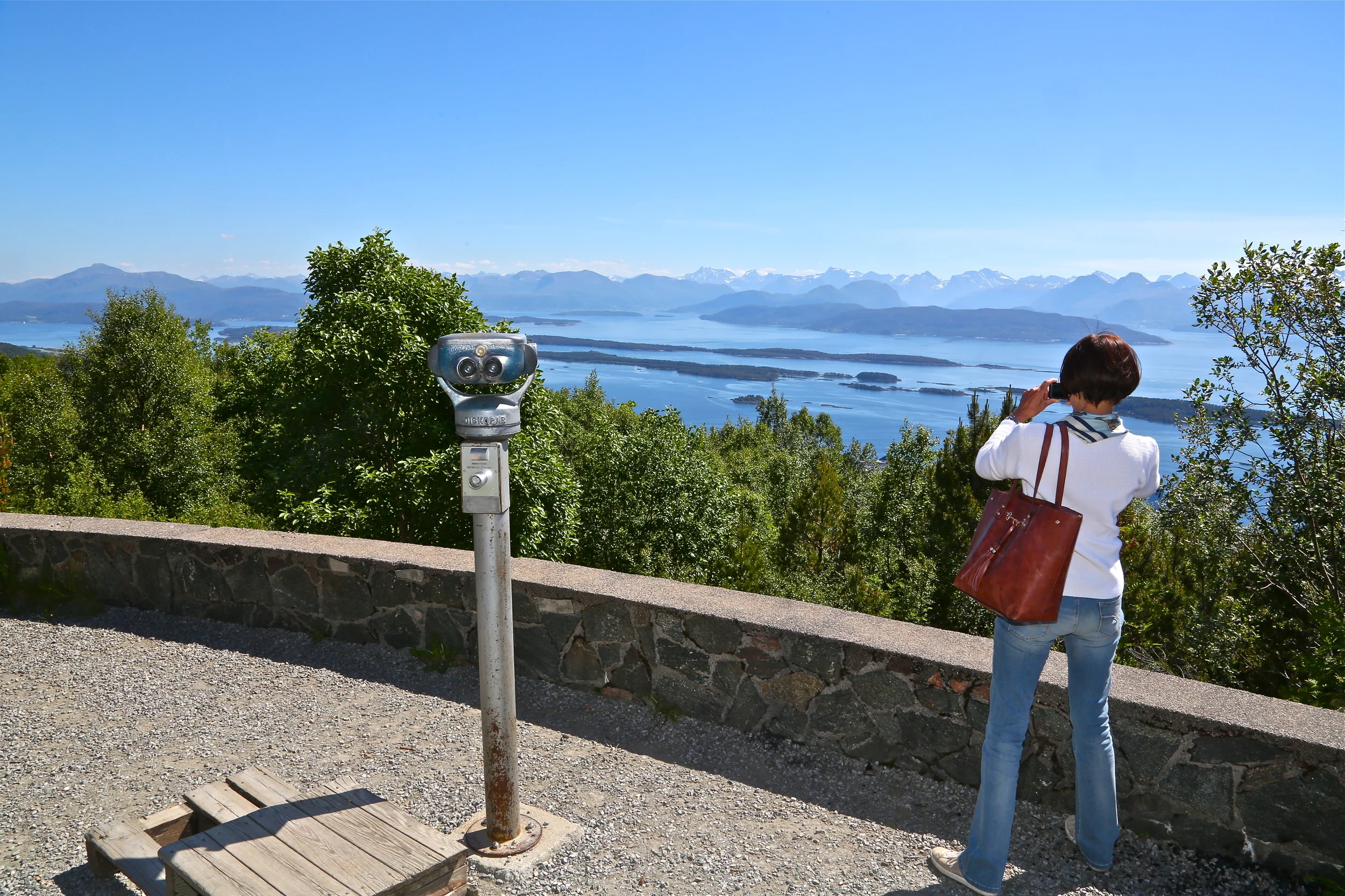 Nå ser vi ikke skogen for bare trær