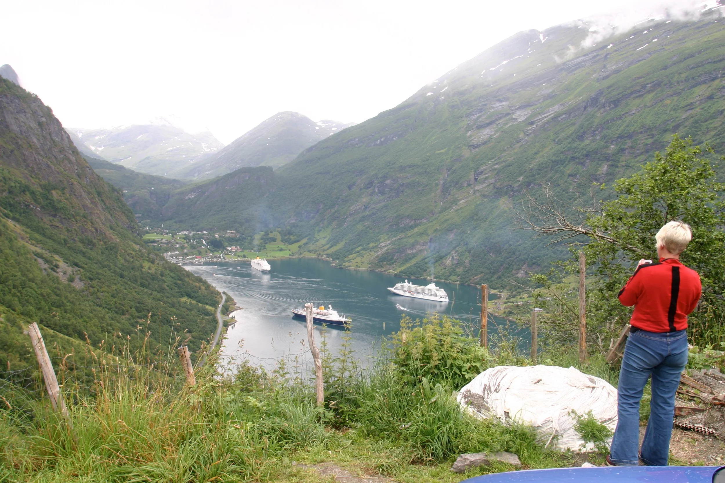 Snakker cruiseturistene sant ?