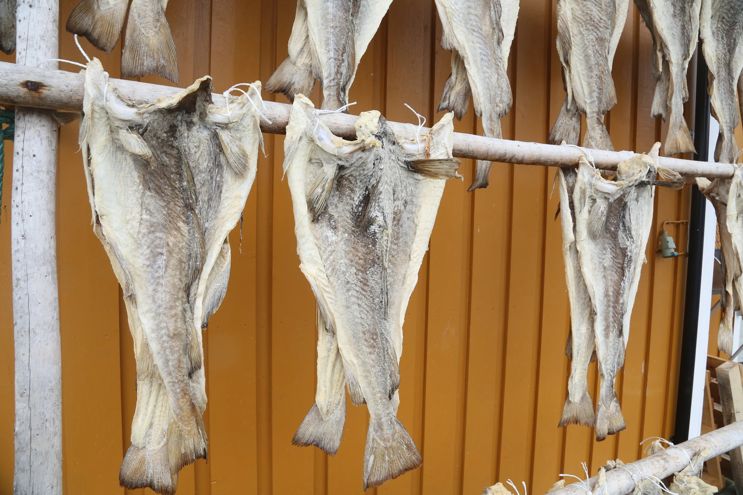 Den store matbløffen - helt inn på gårdstunet