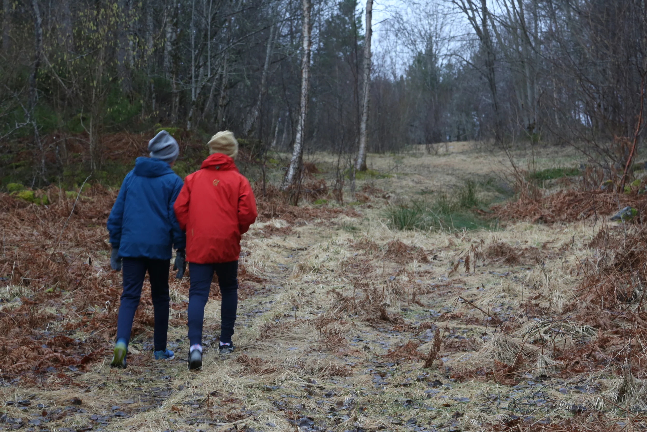 Slapp av, toppturer er oppskrytt