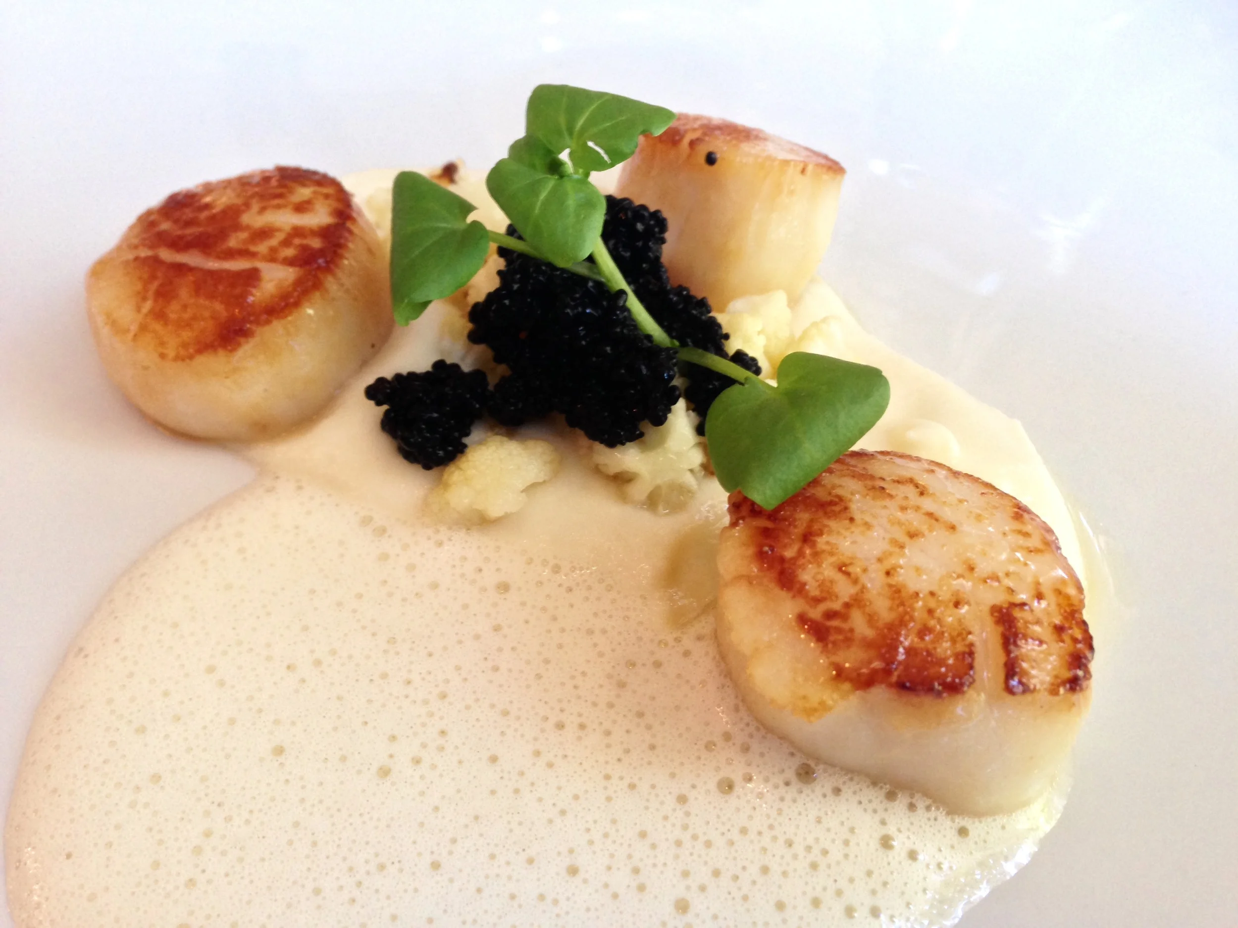 Ikke reis noe sted uten å være en jetsetter