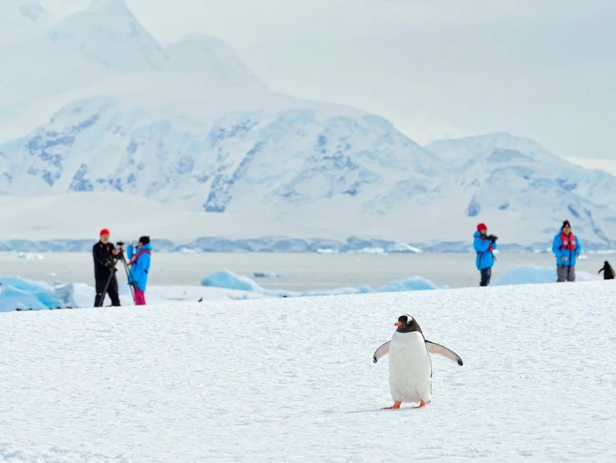 De 20 beste stedene å besøke i 2016