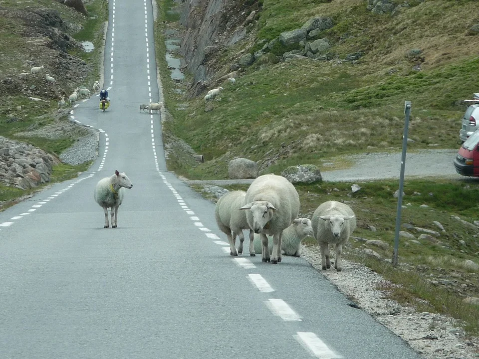 NÅ HAR DE KÅRET DE VERSTE VEIKROENE I NORGE