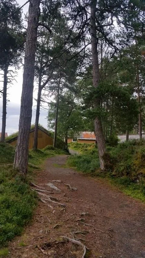 Foto: Eva M. Høyer Sekse